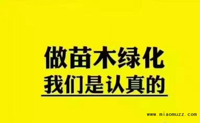 山东济宁军政园林