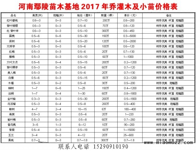 2018绿化苗木价格表